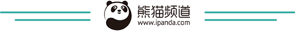 index-logo